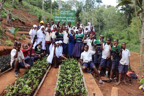 Tanzanie - Roots & Shoots École primaire Shebomeza