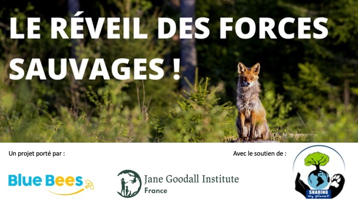 Réveil des forces sauvages _ Jane Goodall Institute France
