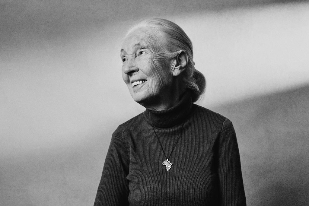 JANE GOODALL