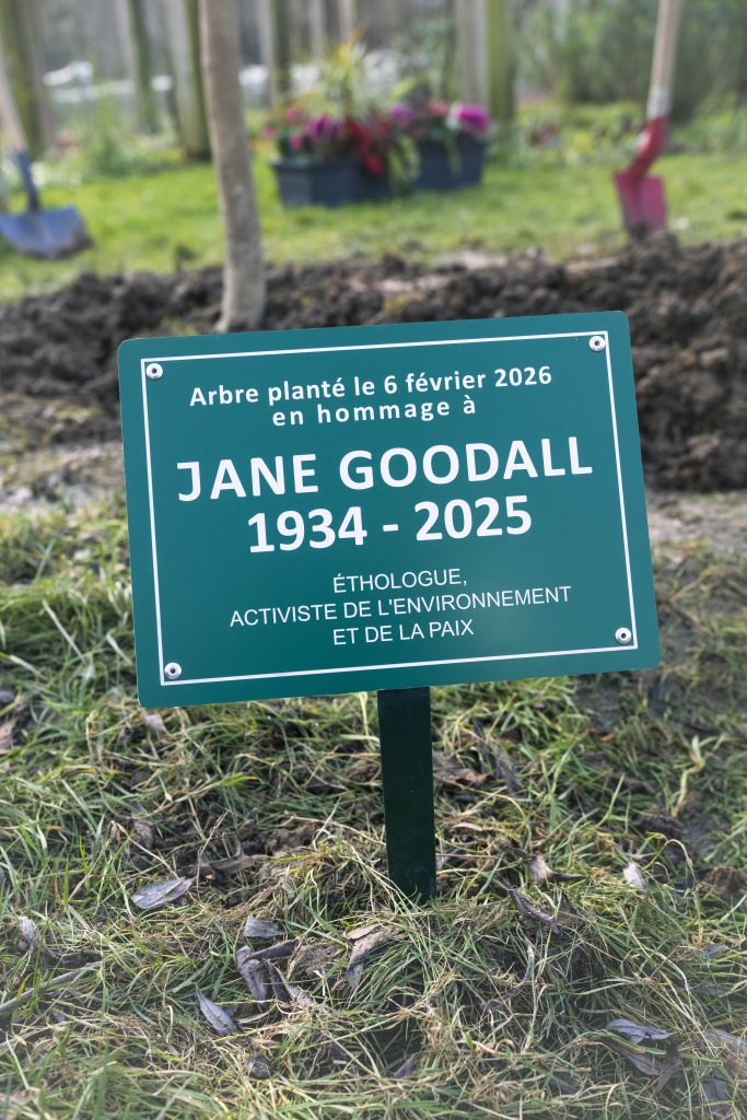 Maison Jane Goodall de l’Animal en Ville