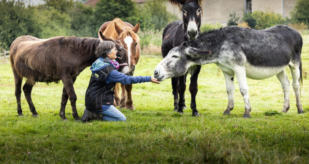 Un nouveau partenariat avec l&rsquo;association WELFARM